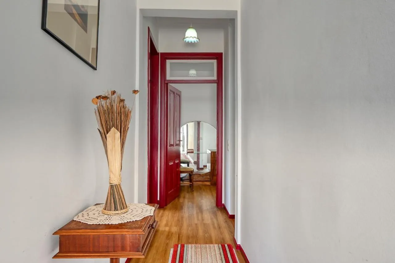 Os Ferreirinhos, A Home In Madeira São Jorge Vakantiehuis