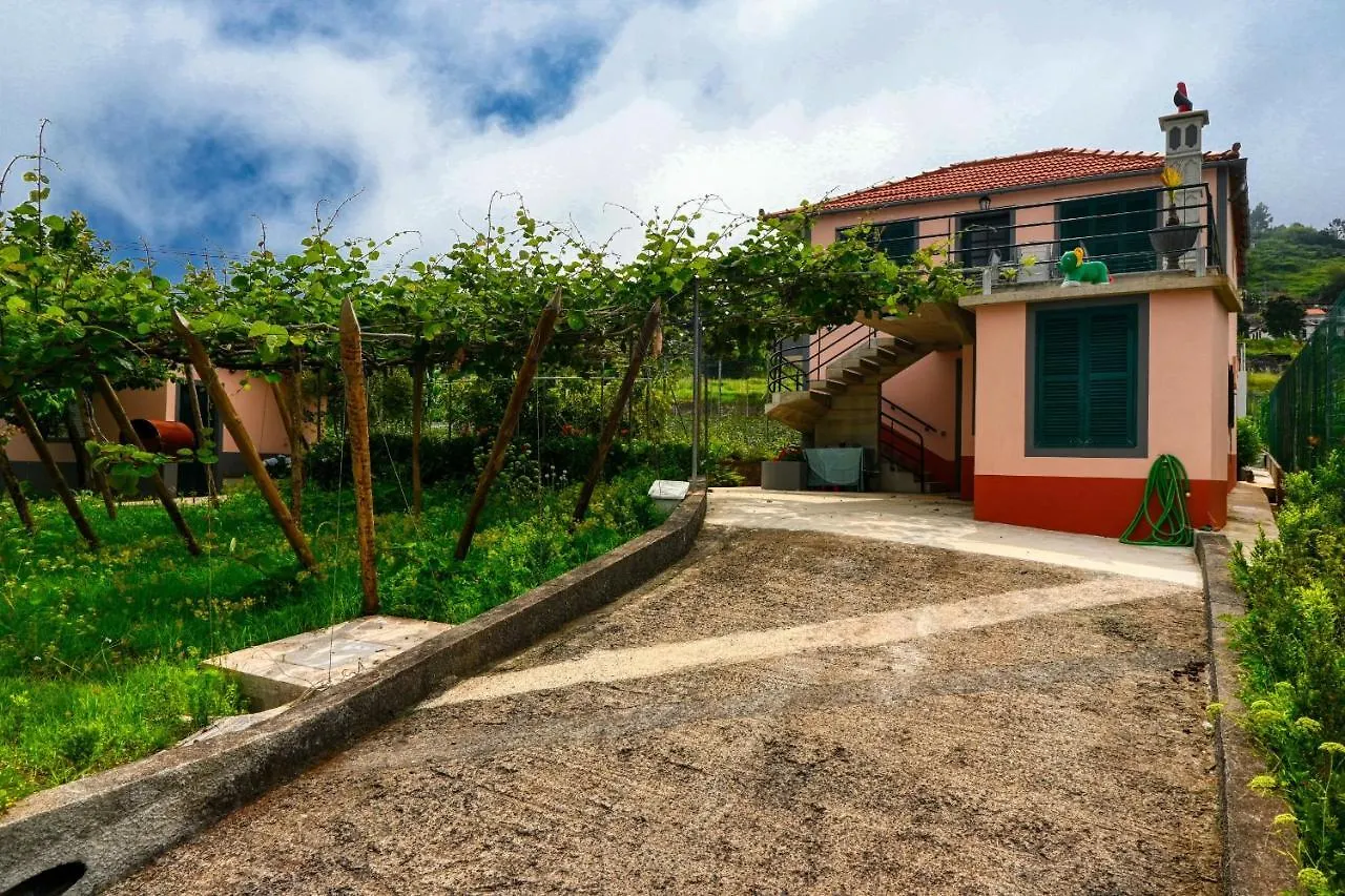 Os Ferreirinhos, A Home In Madeira São Jorge 0*,  Portugal