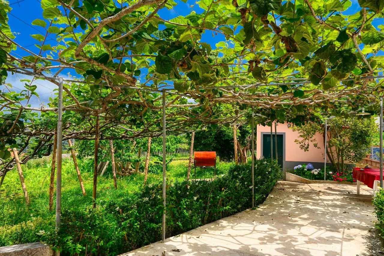 Os Ferreirinhos, A Home In Madeira São Jorge