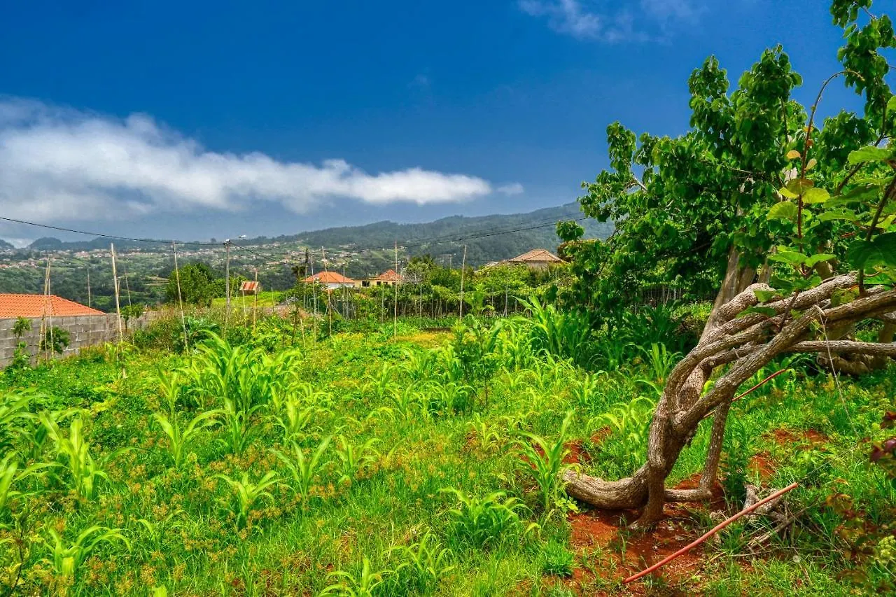 Holiday home Os Ferreirinhos, A Home In Madeira Sao Jorge
