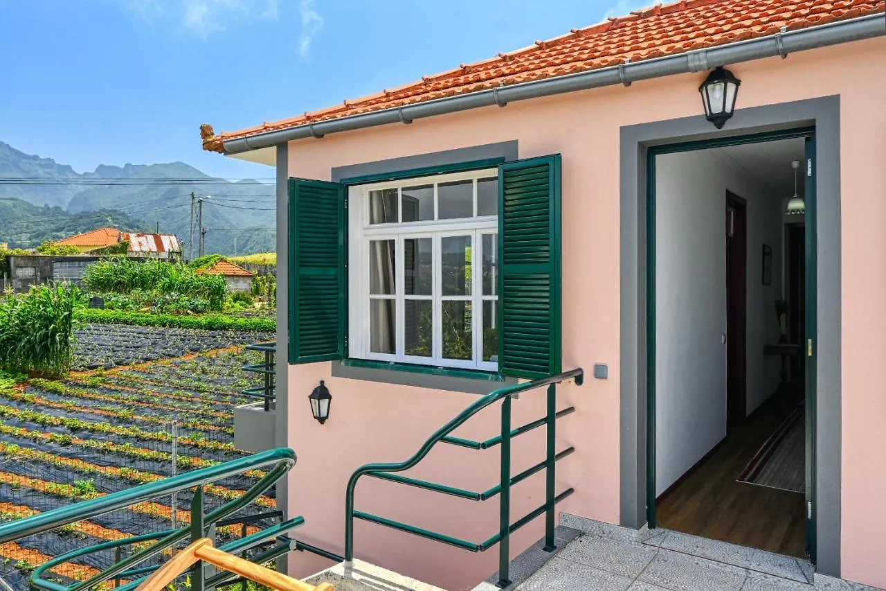 Os Ferreirinhos, A Home In Madeira Sao Jorge  Portugal